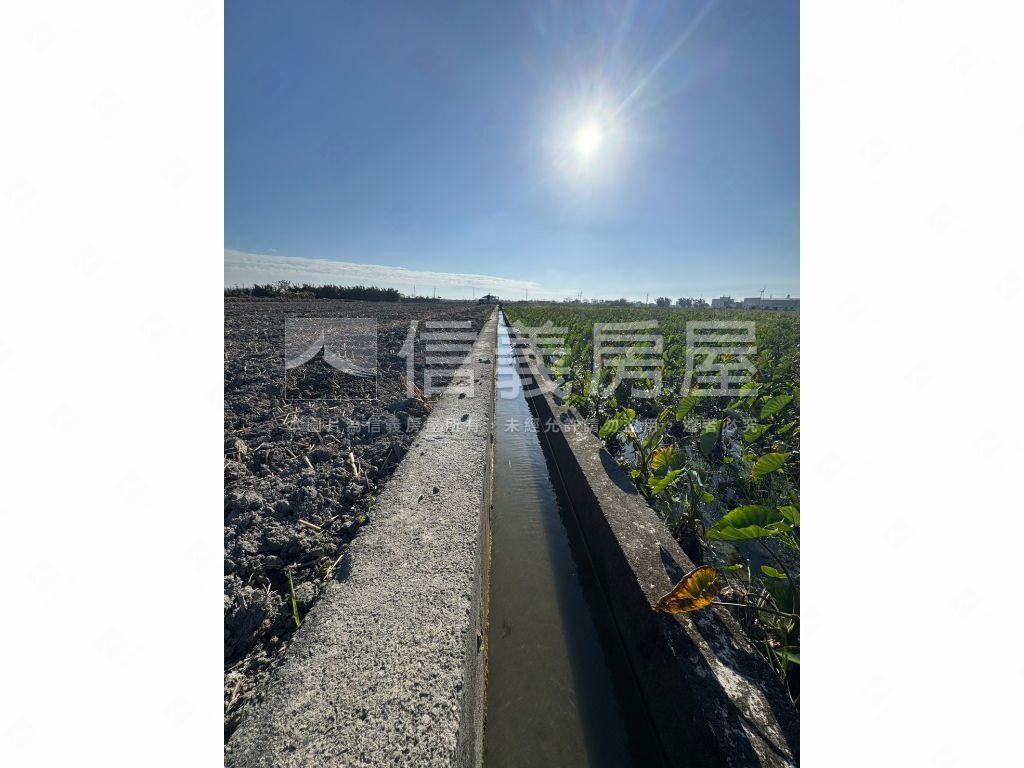 台中大安區千坪農地房屋室內格局與周邊環境