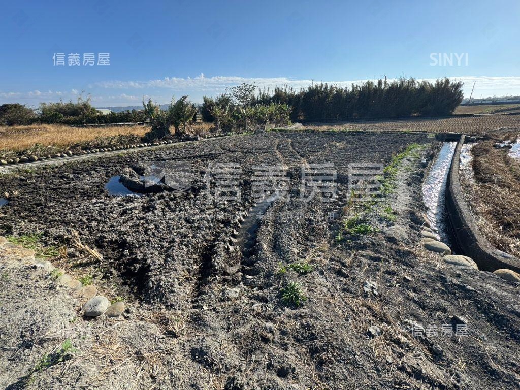 台中大安區千坪農地房屋室內格局與周邊環境