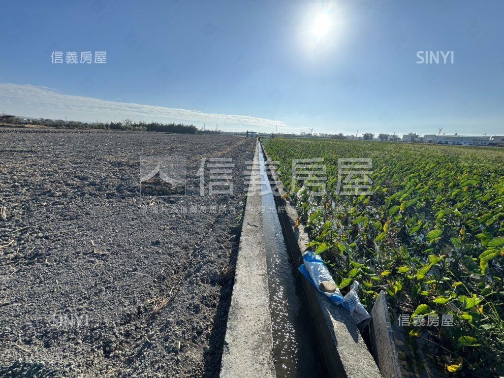 台中大安區千坪農地房屋室內格局與周邊環境