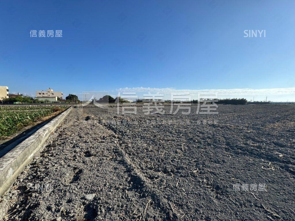 台中大安區千坪農地房屋室內格局與周邊環境