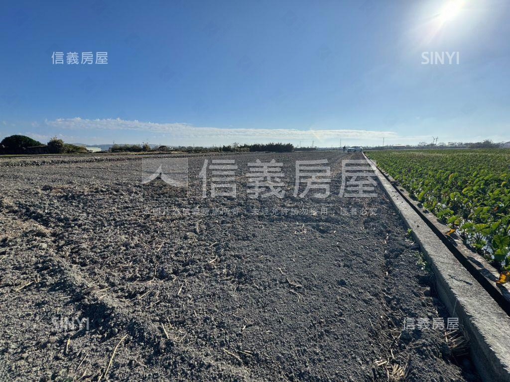 台中大安區千坪農地房屋室內格局與周邊環境