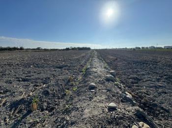 台中大安區千坪農地