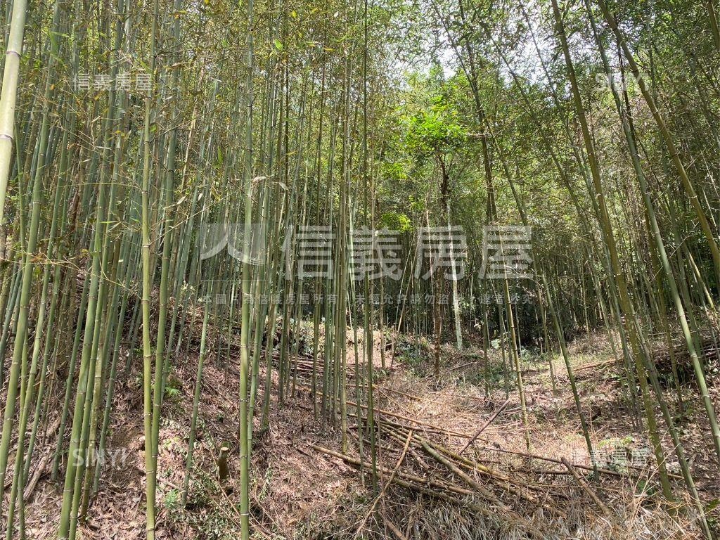 近台三！苗栗萬坪土地房屋室內格局與周邊環境