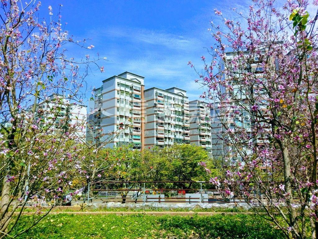 專任公學乙區視野三房房屋室內格局與周邊環境