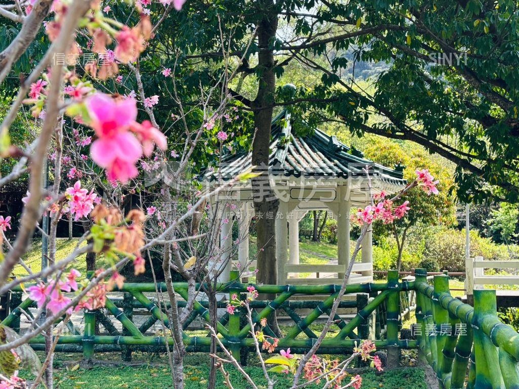 公園透亮奇岩電梯車庫別墅房屋室內格局與周邊環境