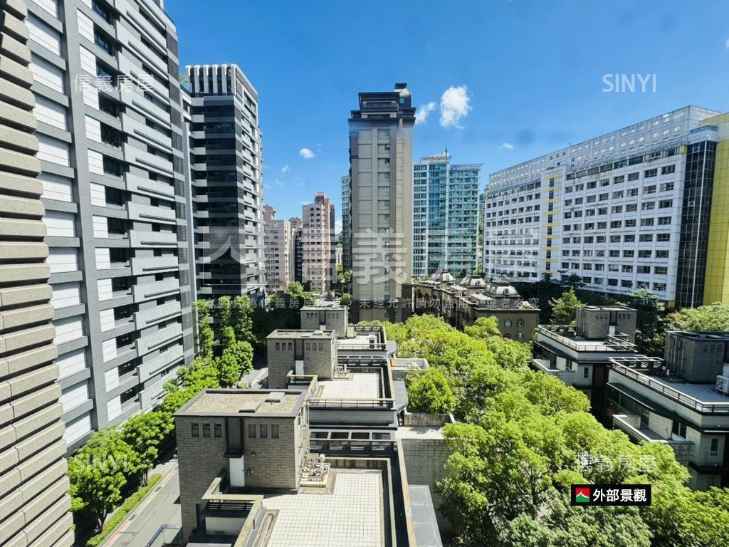 專任★信義亞緻★鋼骨豪宅房屋室內格局與周邊環境