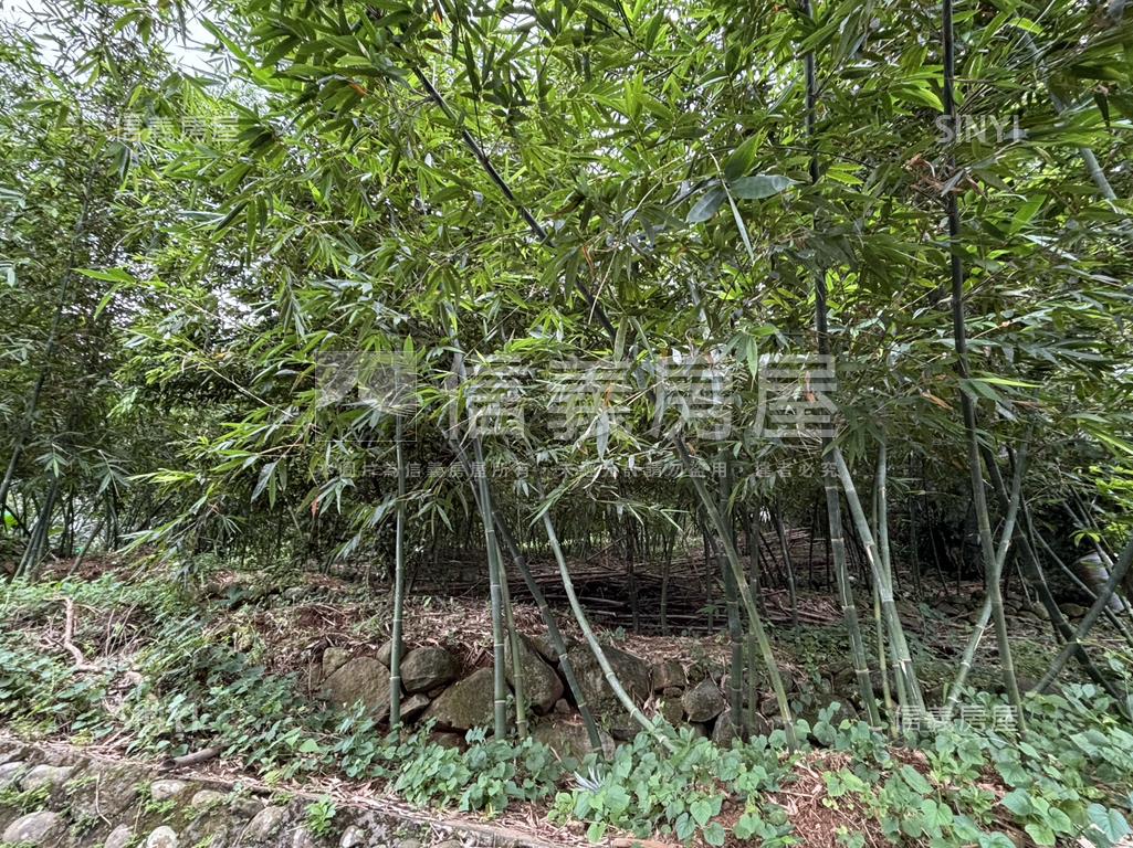 有福之地德行東路土地房屋室內格局與周邊環境