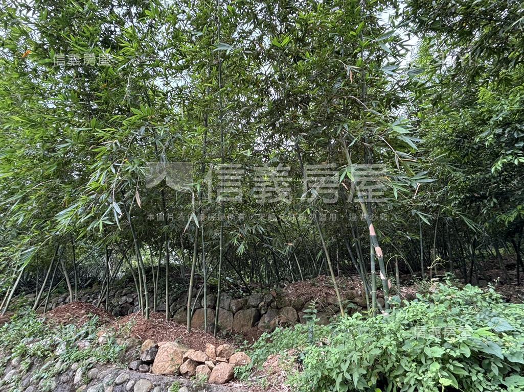 有福之地德行東路土地房屋室內格局與周邊環境