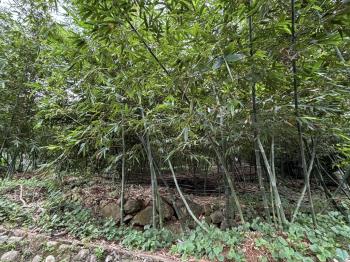 有福之地德行東路土地