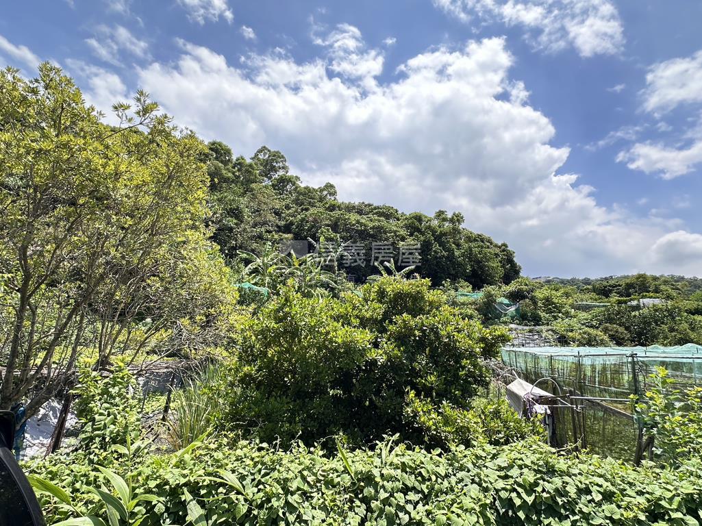 樹梅坑土地１房屋室內格局與周邊環境