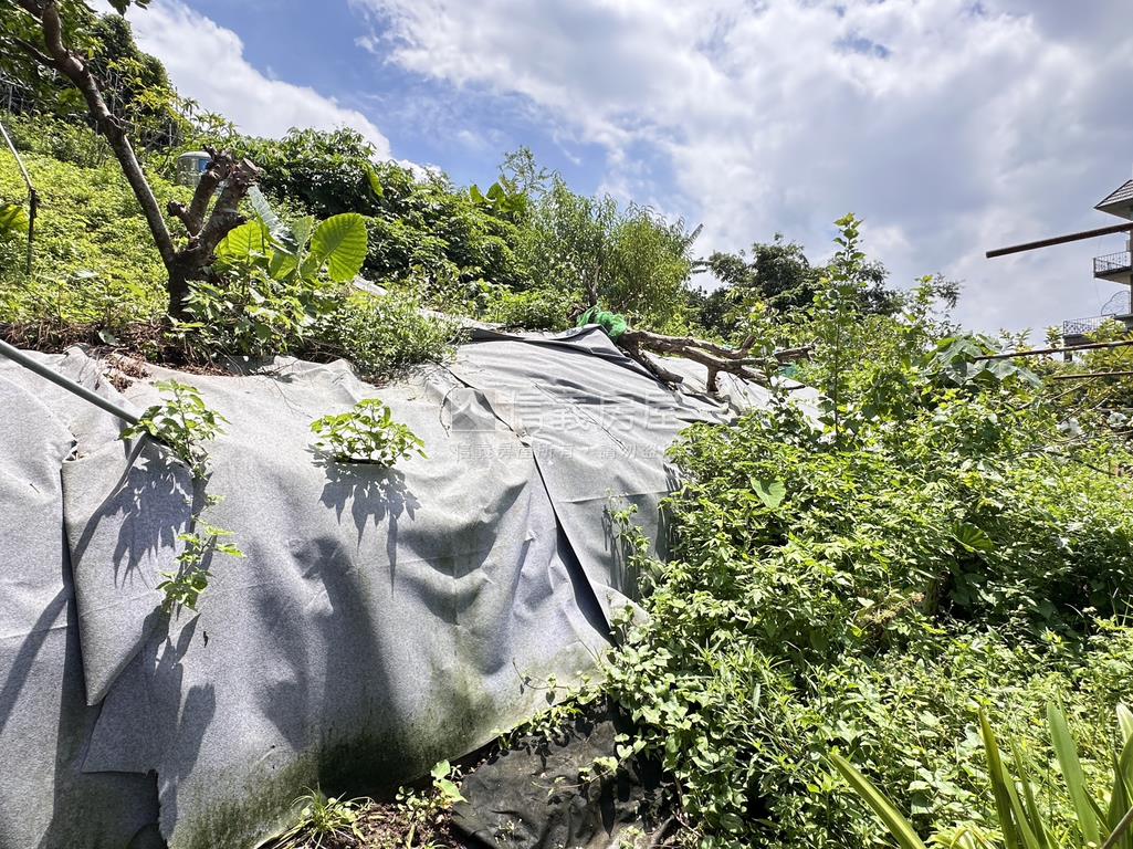 樹梅坑土地１房屋室內格局與周邊環境