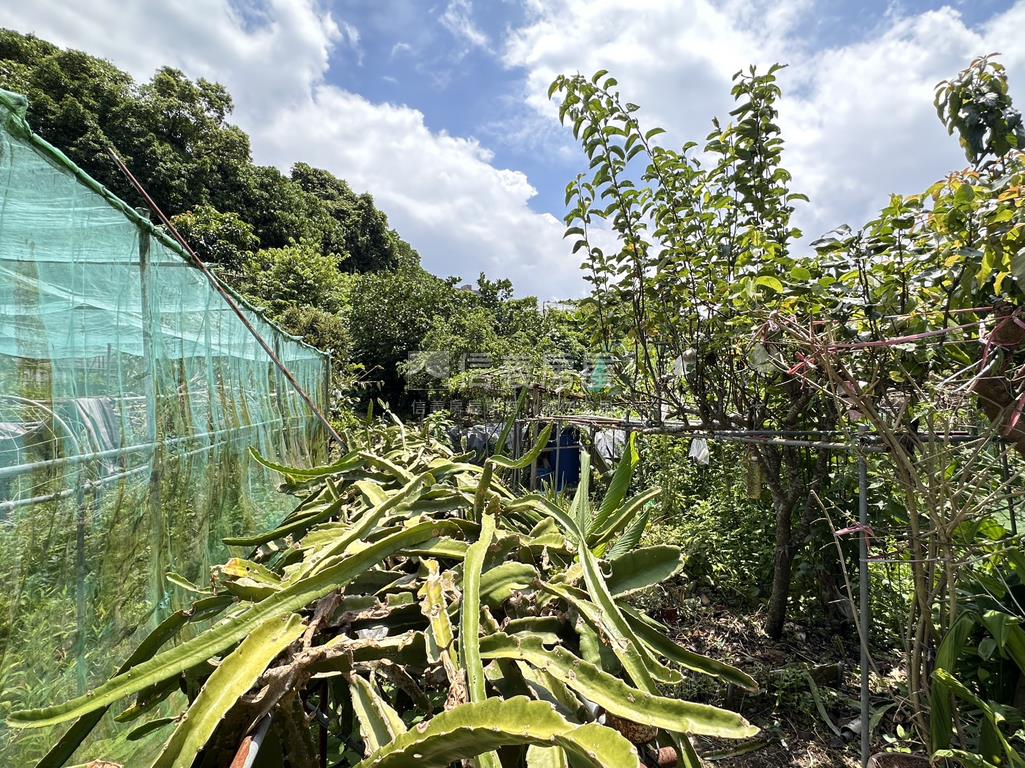 樹梅坑土地１房屋室內格局與周邊環境