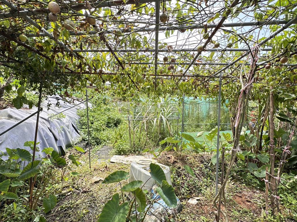 樹梅坑土地１房屋室內格局與周邊環境