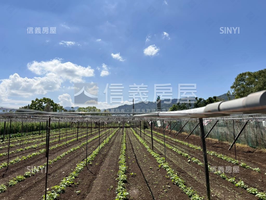 新社大地坪農地房屋室內格局與周邊環境
