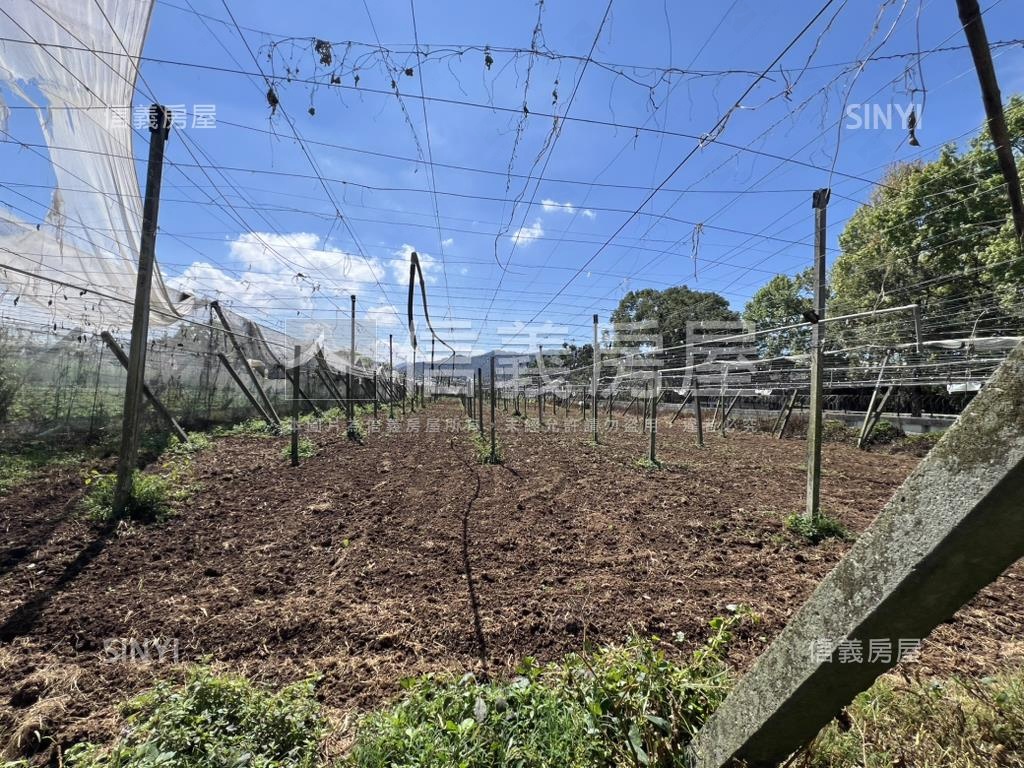 新社大地坪農地房屋室內格局與周邊環境