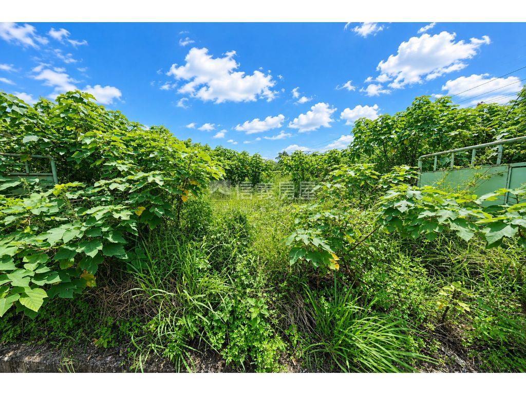 頭份工業區旁１０５６甲工房屋室內格局與周邊環境