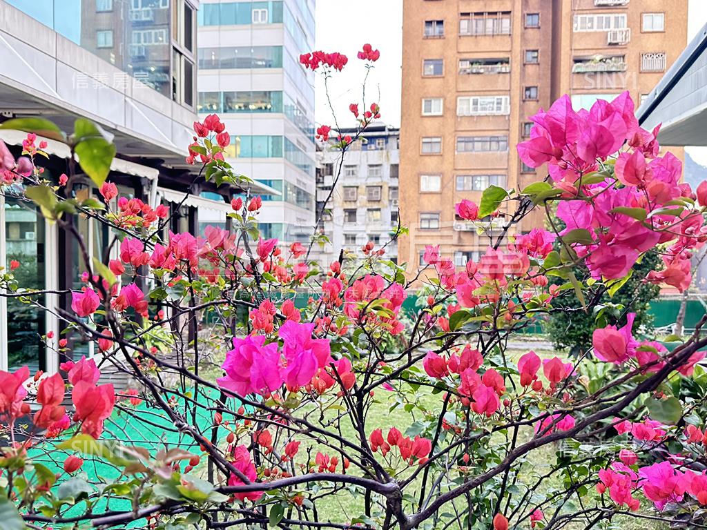 任遠稀有庭園戶房屋室內格局與周邊環境