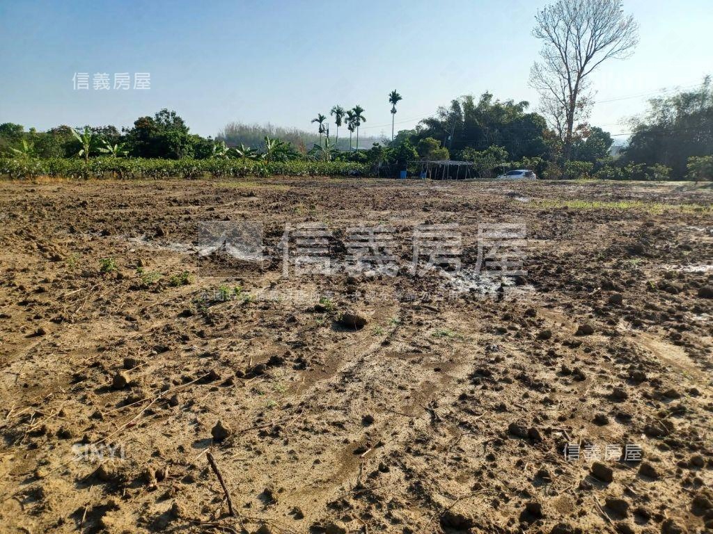 左鎮快樂農地Ⅱ房屋室內格局與周邊環境