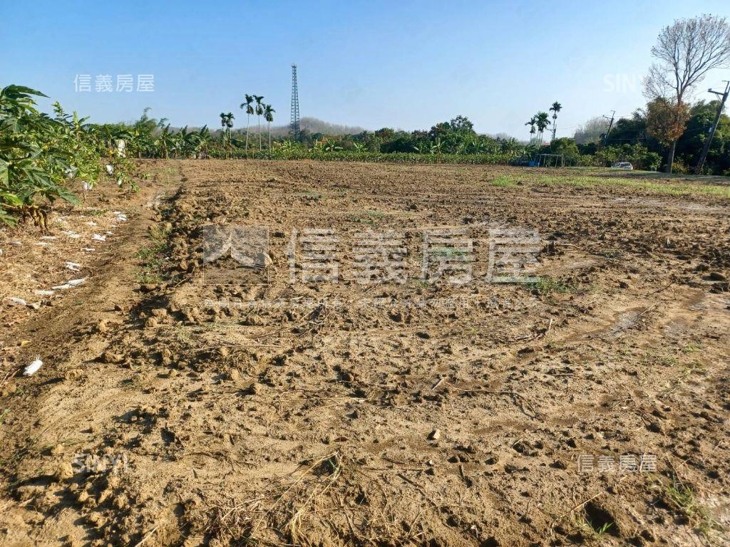 左鎮快樂農地Ⅱ房屋室內格局與周邊環境