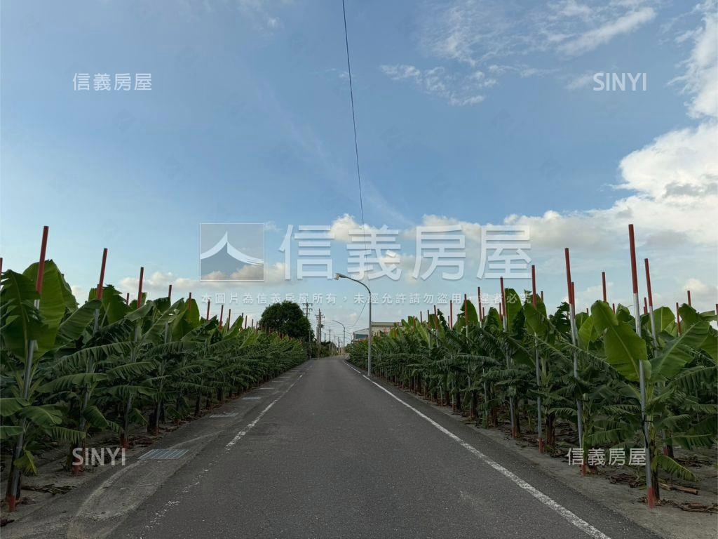 虎尾交流道約２９４坪農地房屋室內格局與周邊環境