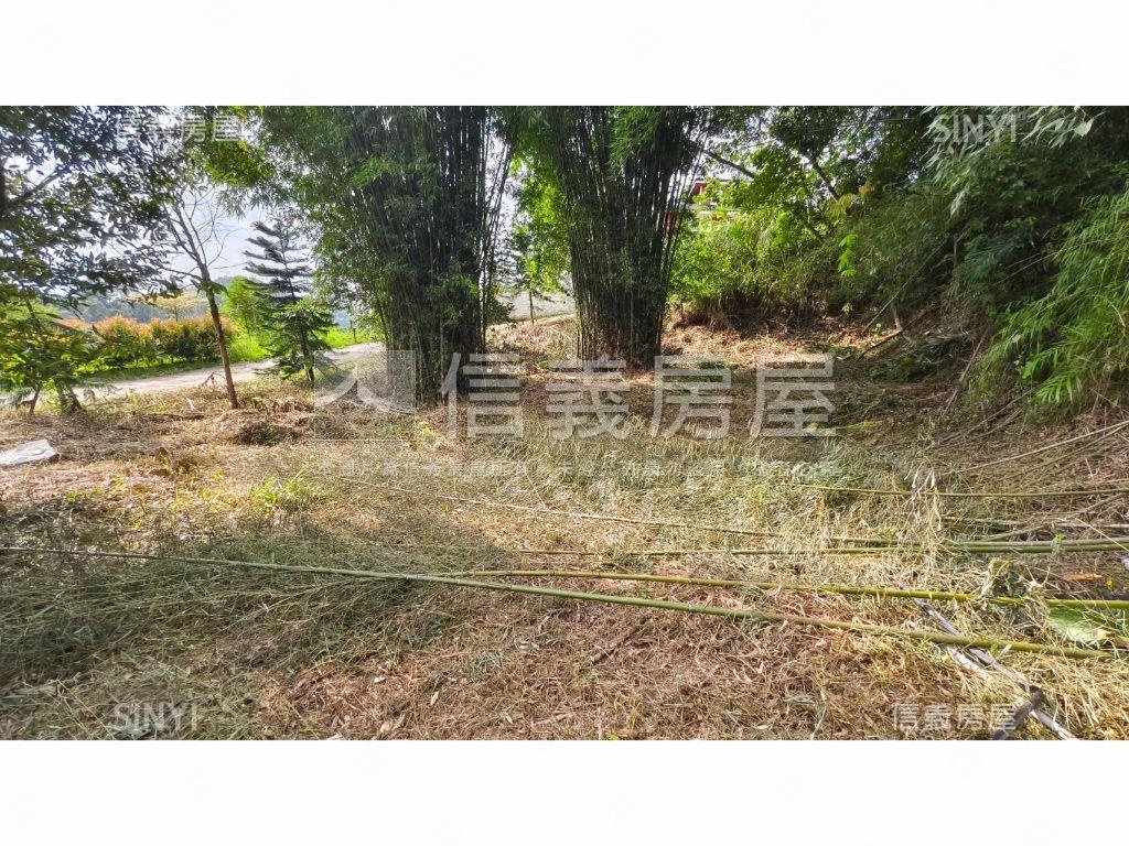 寶山幸福農莊Ｂ土地房屋室內格局與周邊環境