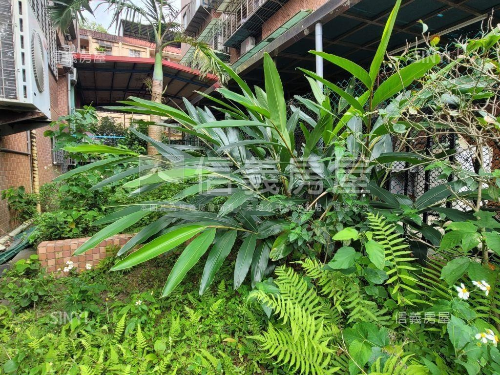 北城庭園樓中樓房屋室內格局與周邊環境