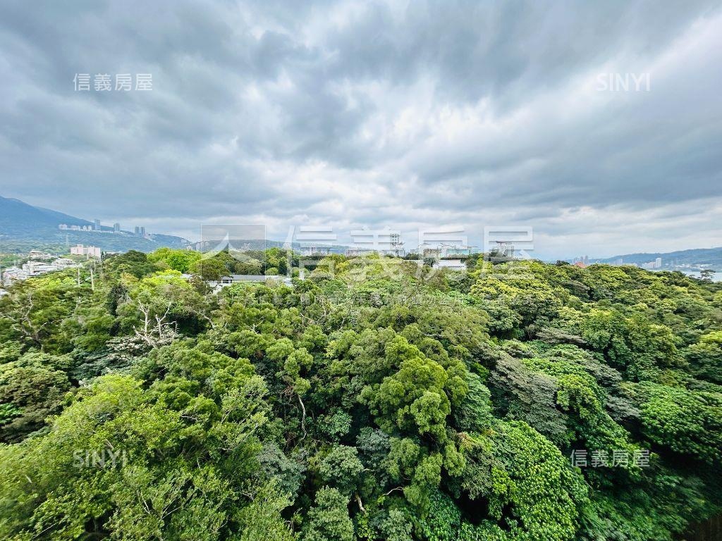 麗陽高樓雲朵朵山景房屋室內格局與周邊環境