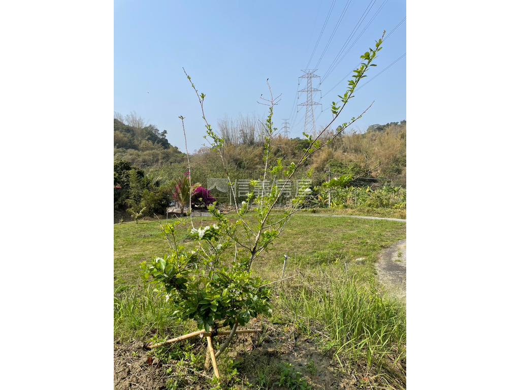 左鎮澄山休閒農場房屋室內格局與周邊環境