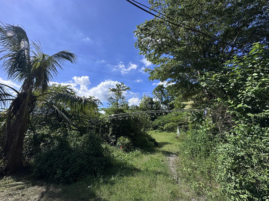 左鎮澄山休閒農場房屋室內格局與周邊環境