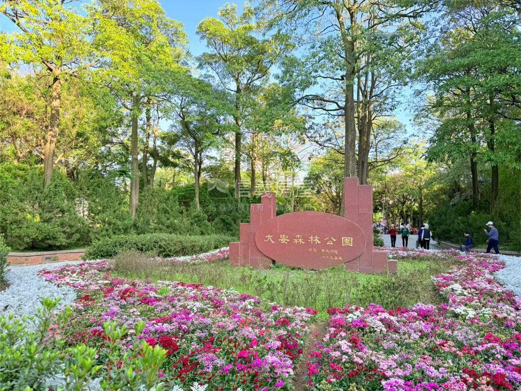 新接Ｐａｒｋ２５９陽台戶房屋室內格局與周邊環境