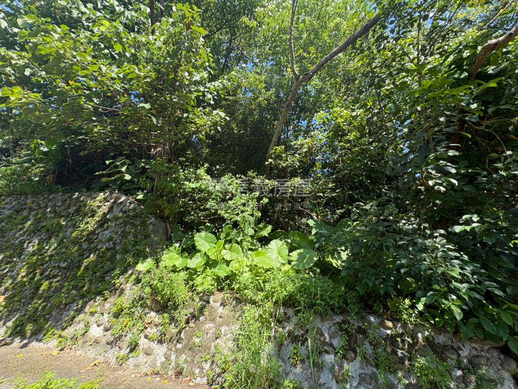 南港胡適庭院旁持分土地房屋室內格局與周邊環境