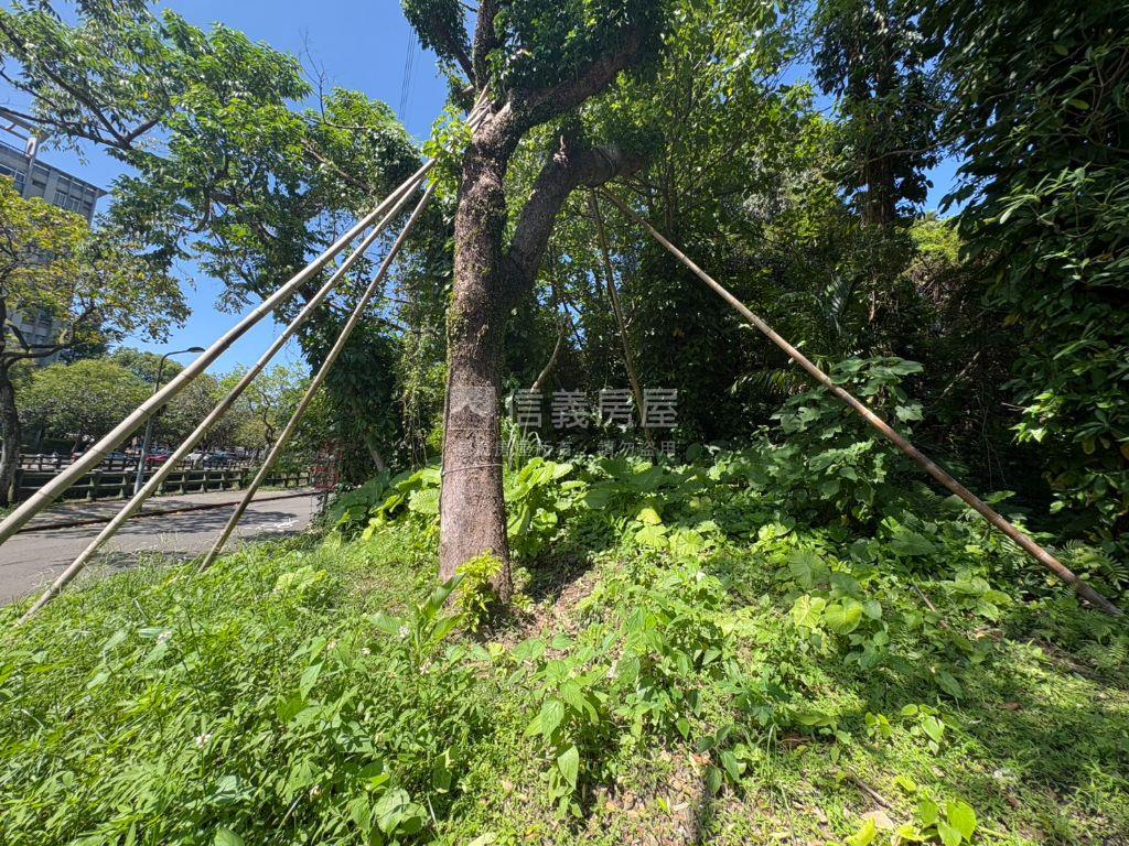 南港胡適庭院旁持分土地房屋室內格局與周邊環境