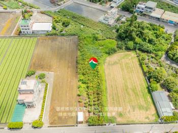 社頭農地好吃芭樂園