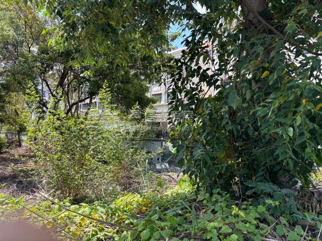 近炎峰國小約７０．４坪地房屋室內格局與周邊環境