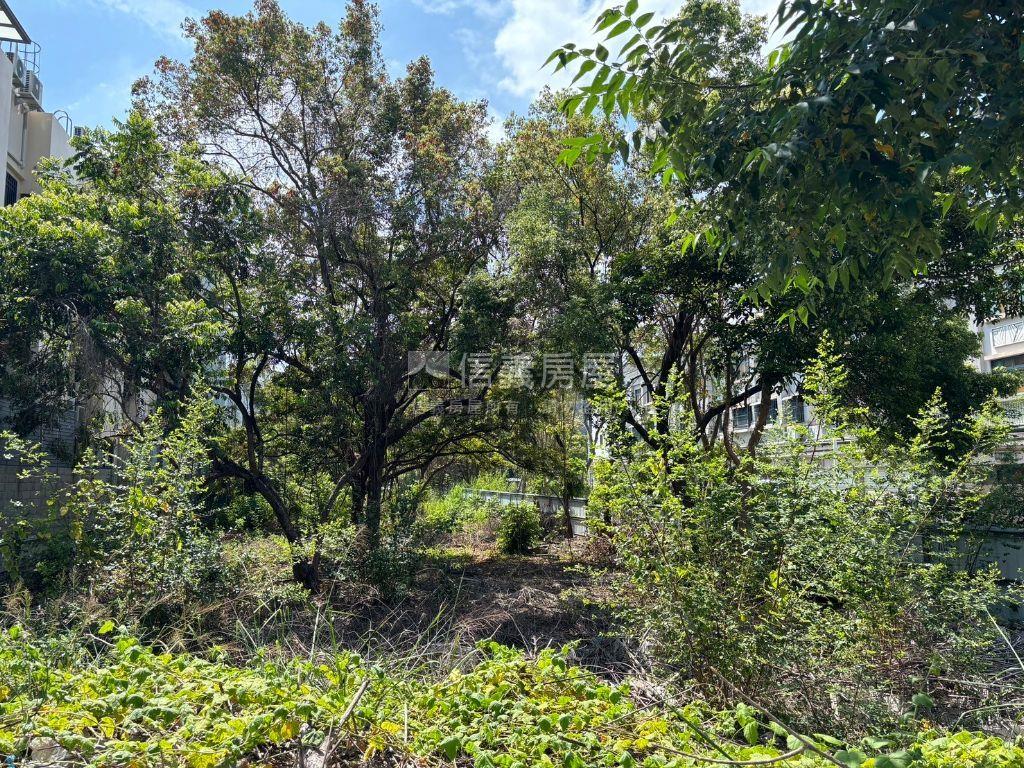 近炎峰國小約７０．４坪地房屋室內格局與周邊環境