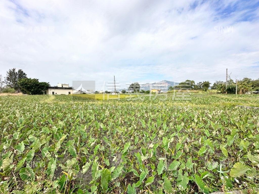 １６９２坪農地近中社花園房屋室內格局與周邊環境