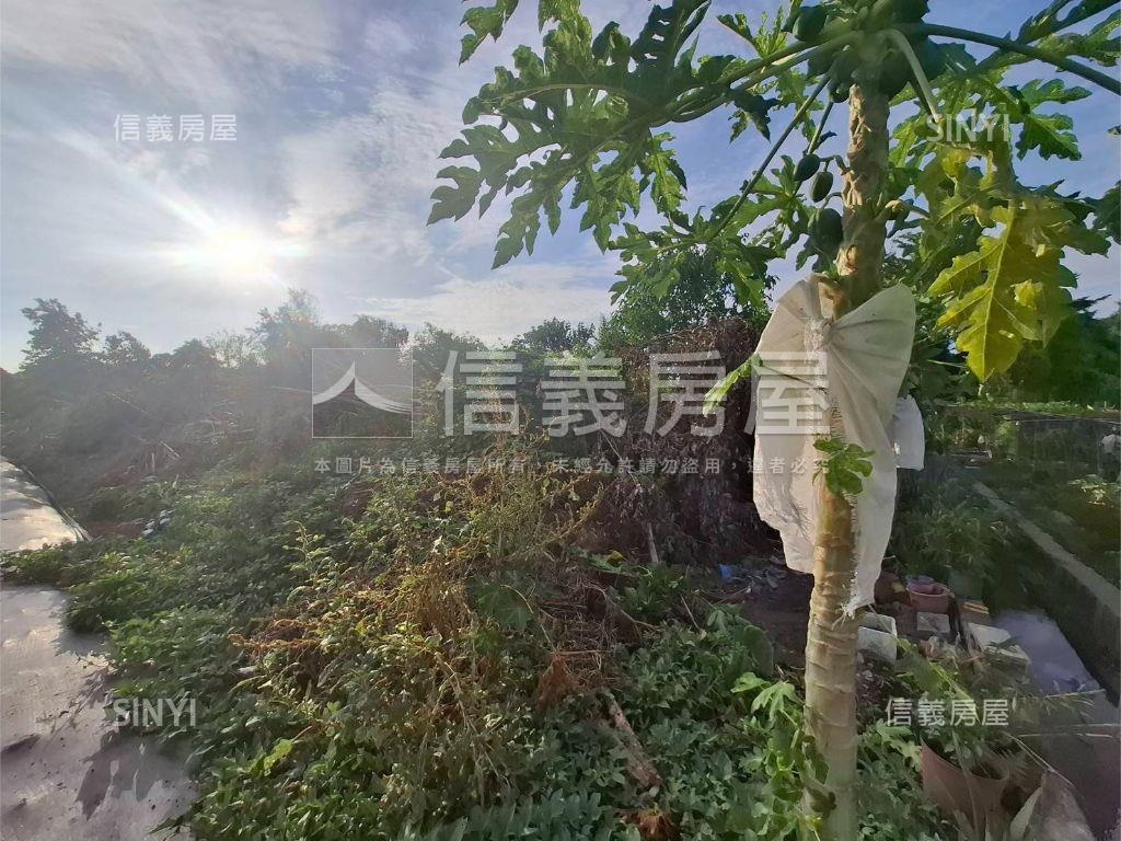 大里三期農地Ａ房屋室內格局與周邊環境