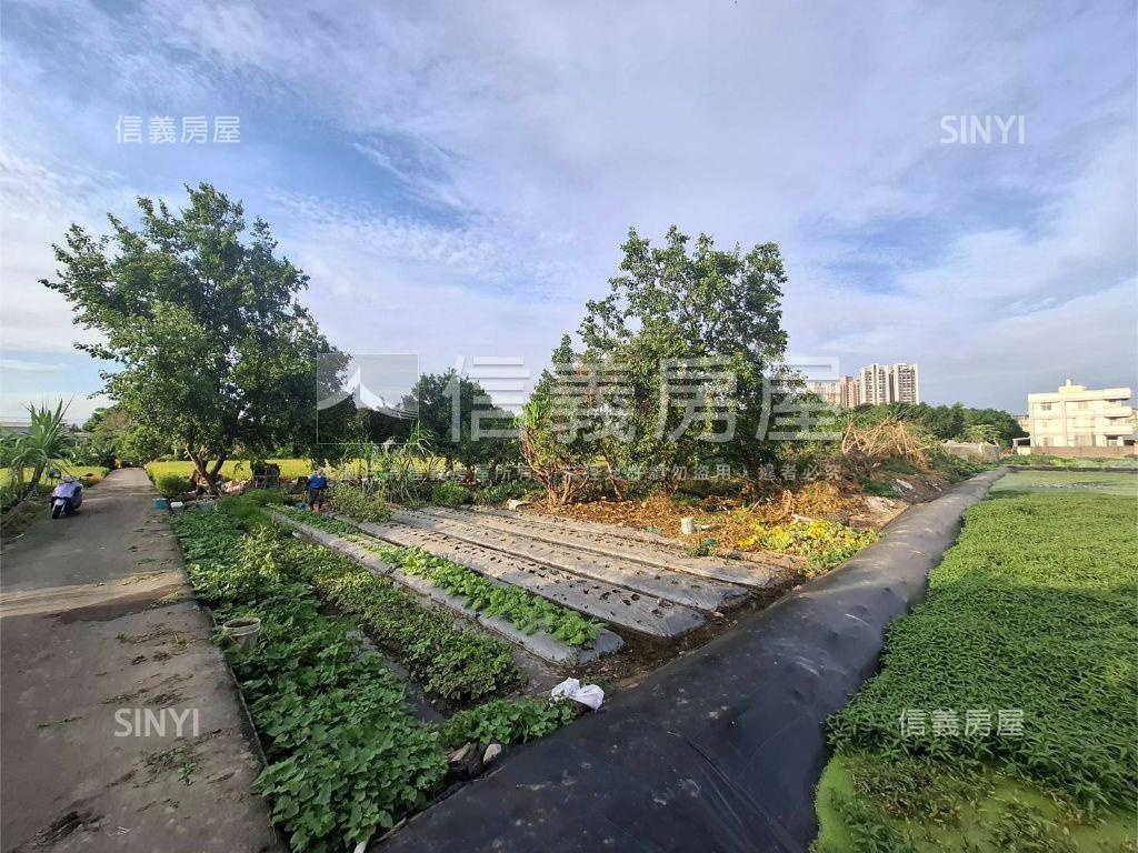 大里三期農地Ａ房屋室內格局與周邊環境