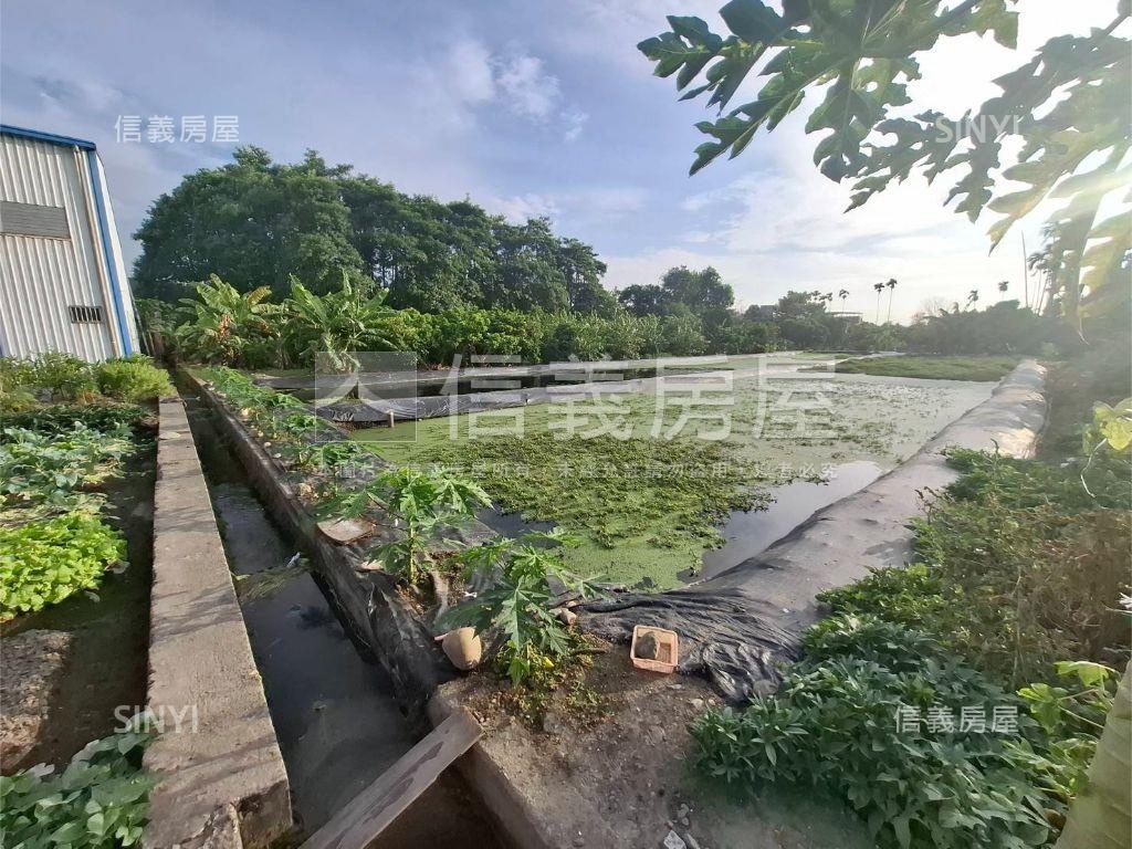 大里三期農地Ａ房屋室內格局與周邊環境