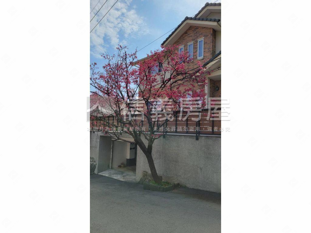 萊茵日式木構別墅城堡房屋室內格局與周邊環境