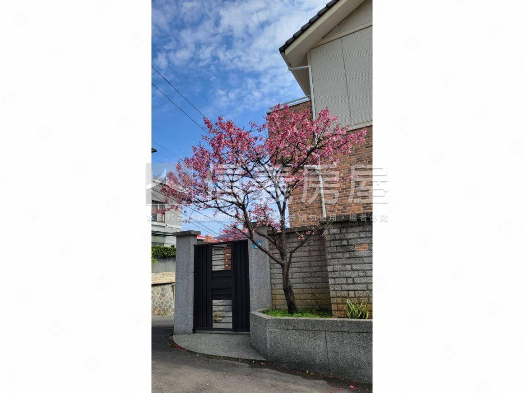 萊茵日式木構別墅城堡房屋室內格局與周邊環境