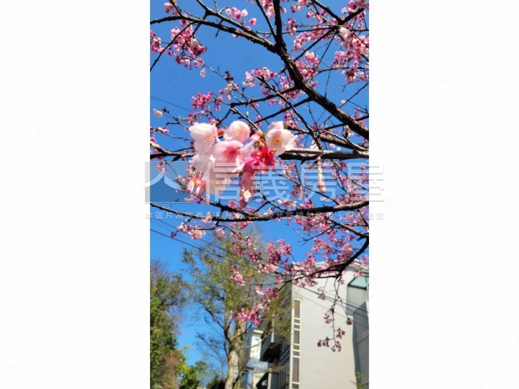 萊茵日式木構別墅城堡房屋室內格局與周邊環境