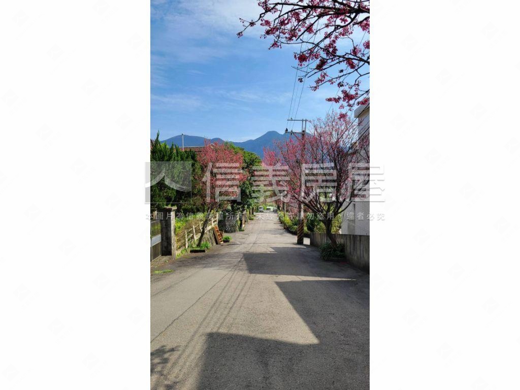 萊茵日式木構別墅城堡房屋室內格局與周邊環境