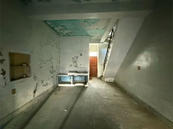 安中路四段大地坪透天