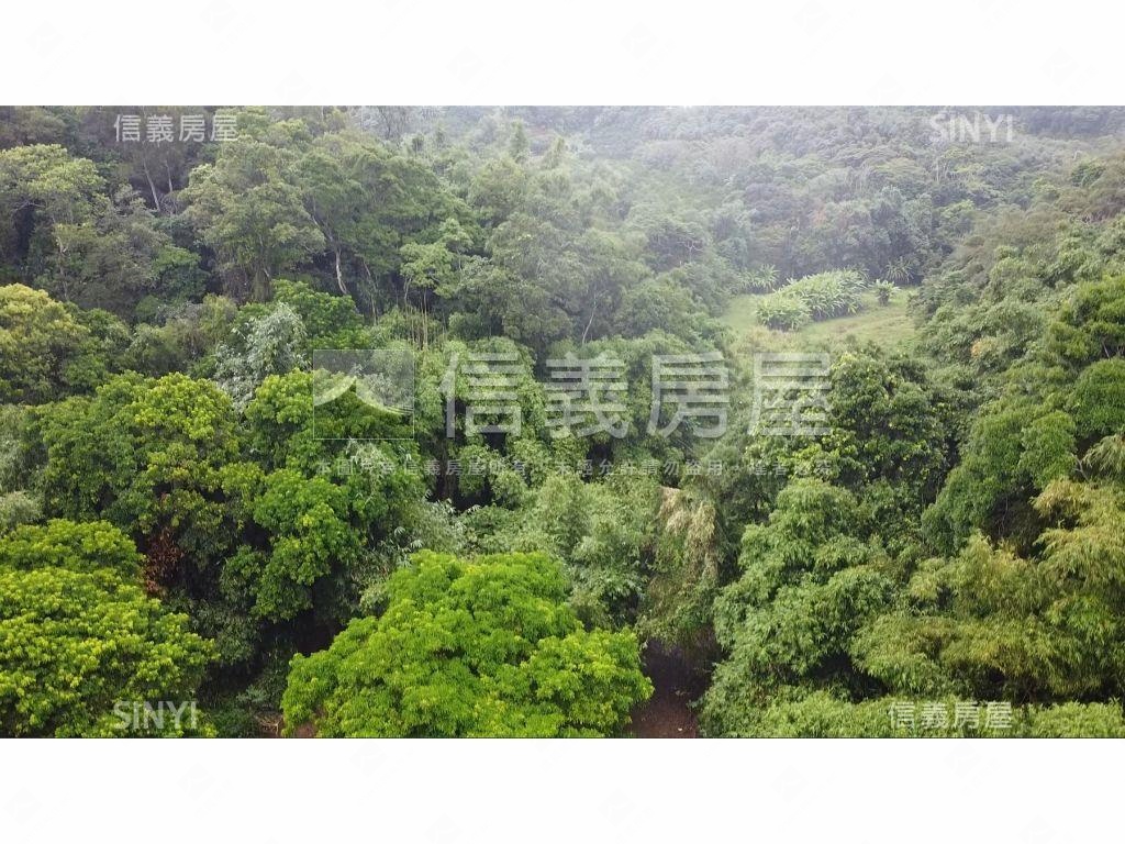 新竹稀有大型土地房屋室內格局與周邊環境