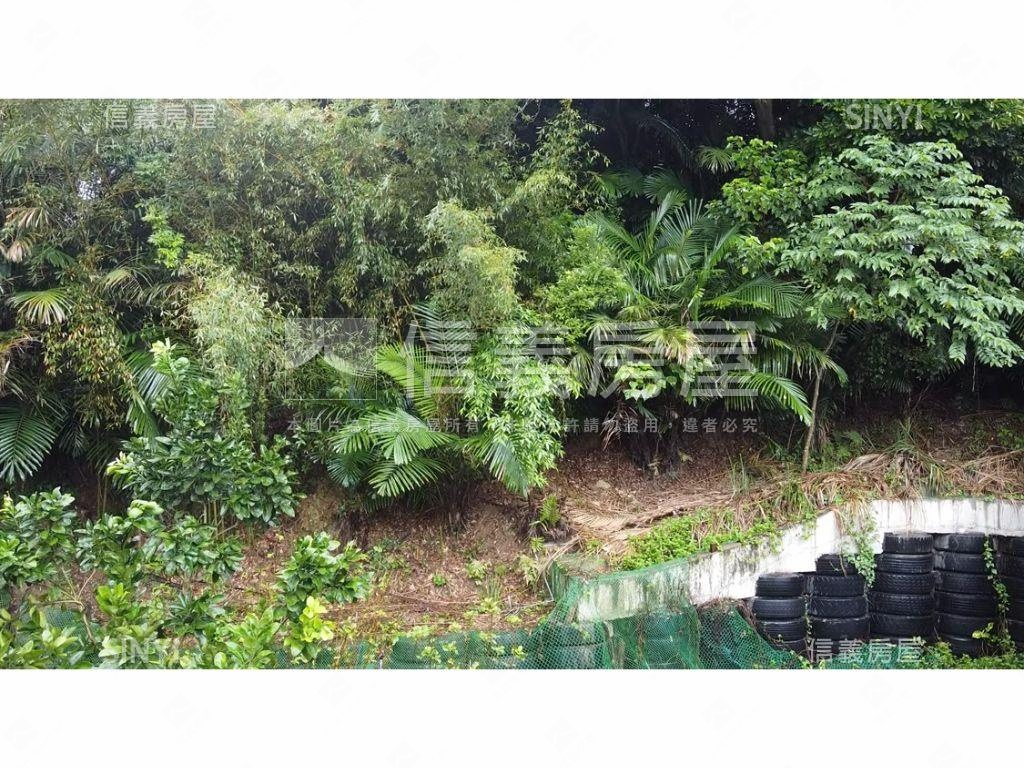 新竹稀有大型土地房屋室內格局與周邊環境