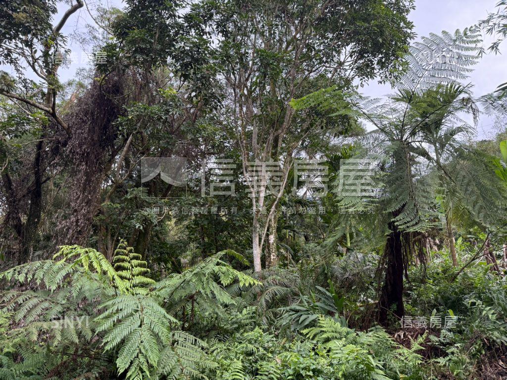 白雞開心土地房屋室內格局與周邊環境