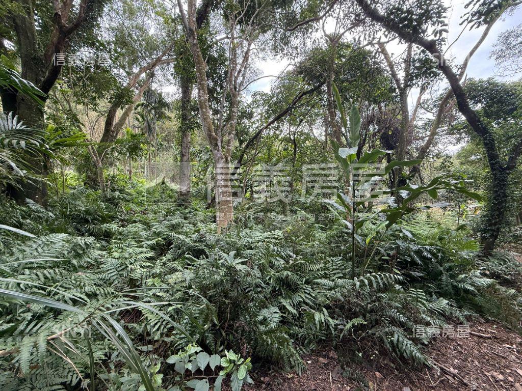 白雞開心土地房屋室內格局與周邊環境