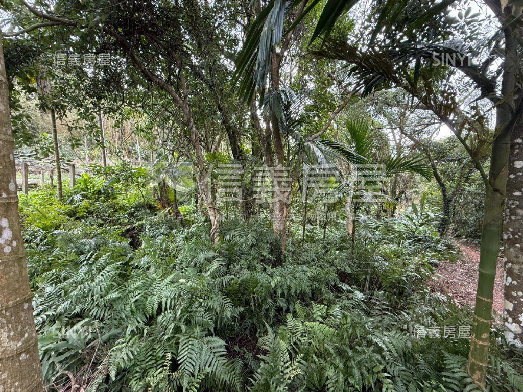 白雞開心土地房屋室內格局與周邊環境