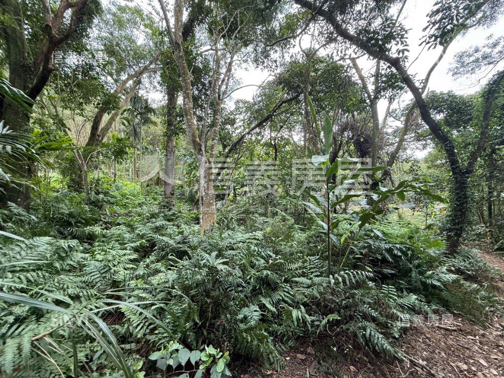 白雞開心土地房屋室內格局與周邊環境